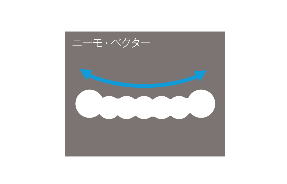nemo equipment ニーモ イクイップメント vector 20r