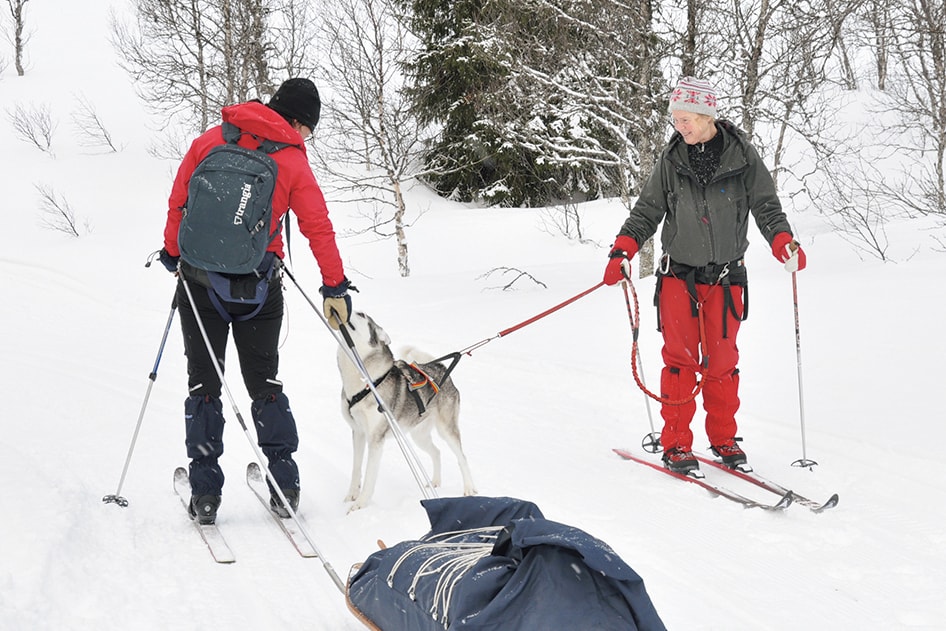 愛犬とともにスキーを楽しむ人と何度も行き交う