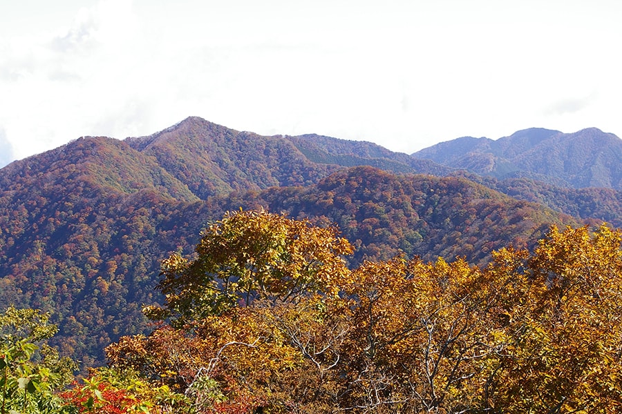 赤や黄色、橙色の木々が山肌をだんだら模様に染める