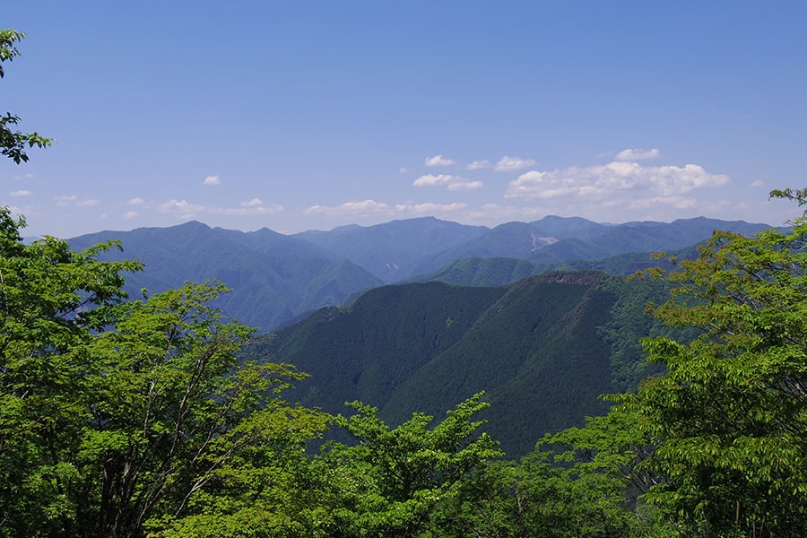 木々のさまざまな緑を眼下に楽しませてくれる（奥多摩・川苔山山頂から）