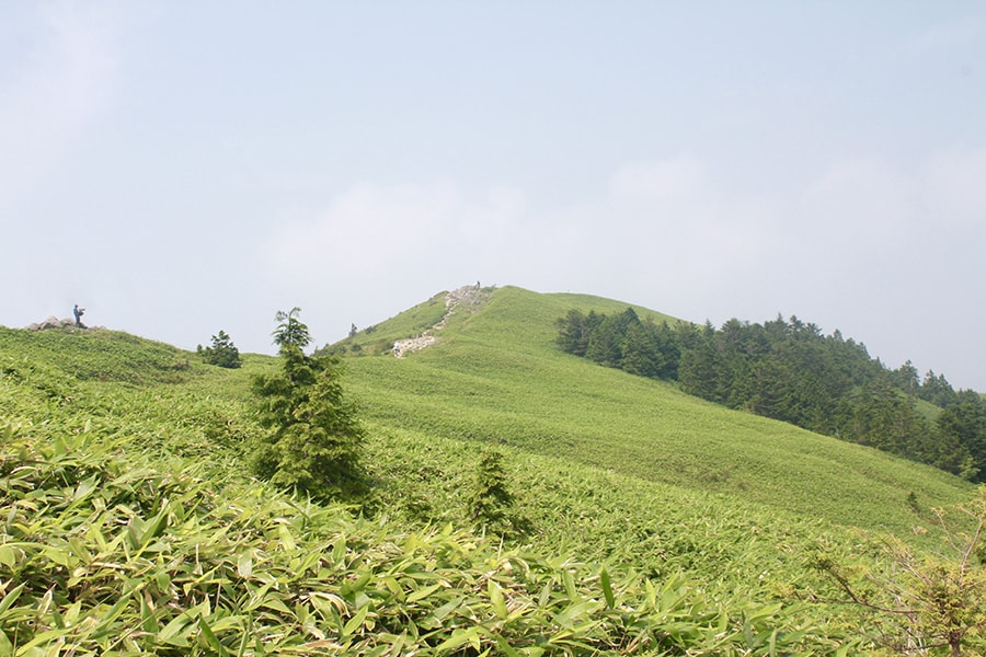 帰り際になってようやく晴れた富士見台。束の間の夏の楽しい思い出となりました