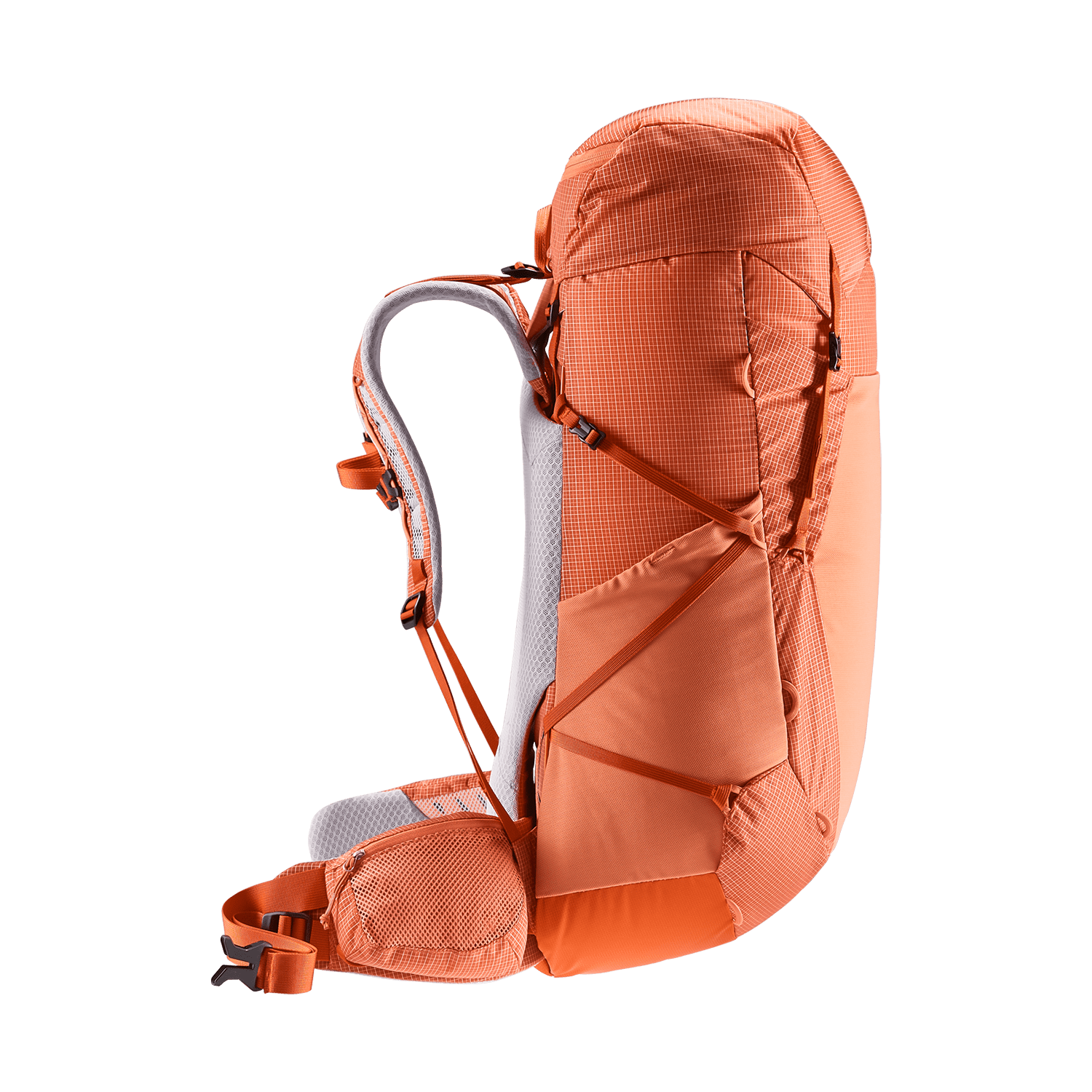 エアコンタクト 23 Deuter ドイター Aircontact Core 45+10 SL エアコンタクト コア 45+10 SL  （2444）ジェード×グラファイト【ザック/バックパッ ク/45 L+10/登山】