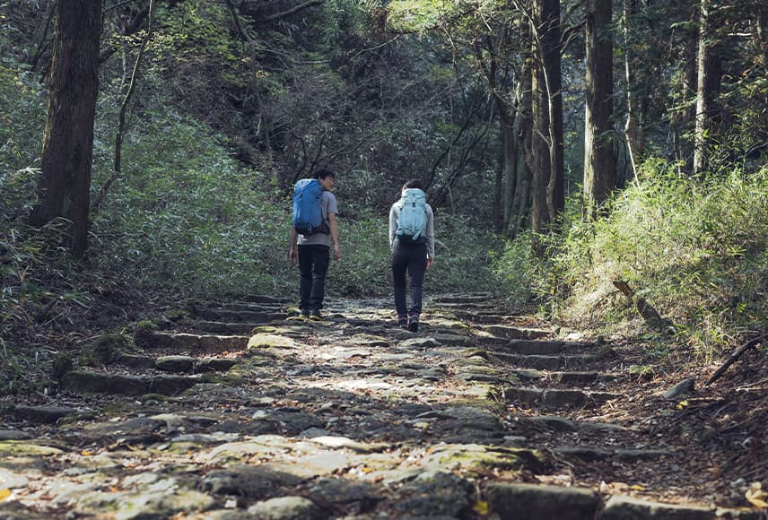 画像：登山イメージ 登り階段