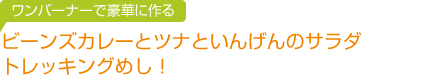 ビーンズカレーとツナといんげんのサラダ